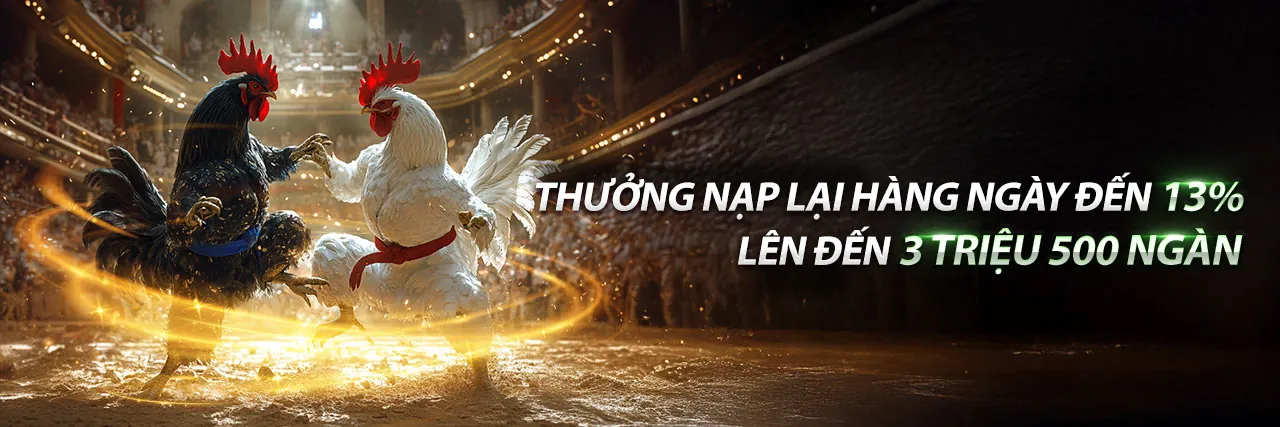 Đá Gà C2 88 - Sân Chơi Hấp Dẫn